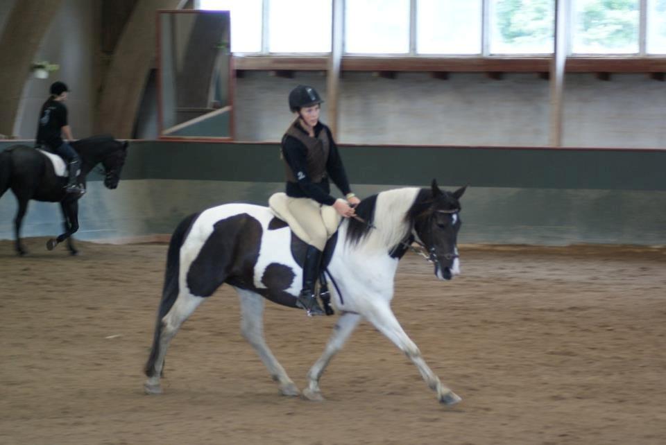 Alle heste jeg har redet i mit liv. <3 - Tiva, ukendt race, omkring 11 år.
Hende her er skøn. Jeg kan nærmest ikke beskrive hvor højt jeg elsker hende. Hun er en dejlig hoppe og det er hoppe med stort H.
Hun er sin egen. Jeg har redet siden 2011 hvor jeg havde hende med på Brøderup ungdomsskole. Det var det bedste år af mit liv, og at kunne dele det med Tiva var skønt.
Jeg har redet hende på 2 jagter. 3. kom hun til skade og så har vi selv arrangeret en jagt, hvor vi self. også vandt opløbet.
Hun har sprunget 90cm og hun elsker det, men hun er ikke så god i dressuren. hun har dårlig balance og i øjeblikket står hun helt stille, fordi hun er meget varm og svær at kontrollere hvis ikke hun rides hver dag. Billeder kan bla. ses i mine heste.
Hun er bare dejlig og jeg glæder mig til at ride hende igen til sommer (14-01-2013) billede 44