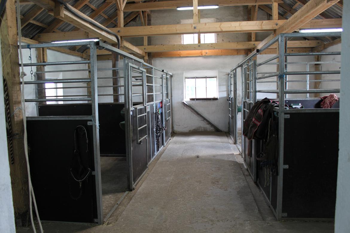 Mit dejlige hjem - Stald Midtkobbel - Staldens 4 bokse billede 1