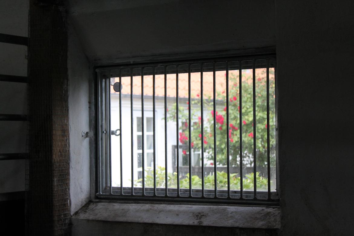 Mit dejlige hjem - Stald Midtkobbel - Vinder der kan åbnes - ud mod haven billede 20