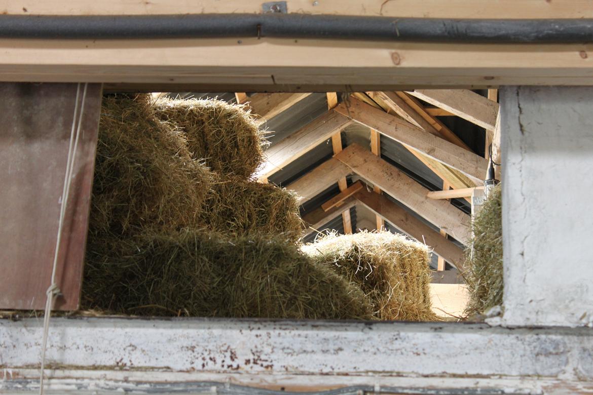 Mit dejlige hjem - Stald Midtkobbel - Hø loft billede 10