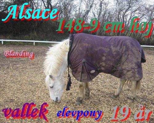 Navne skildte billede 7