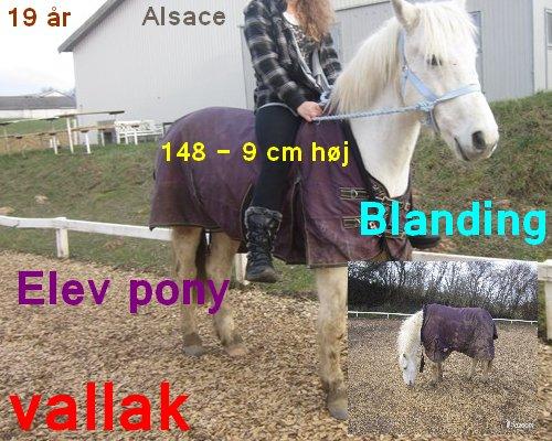 Navne skildte billede 8