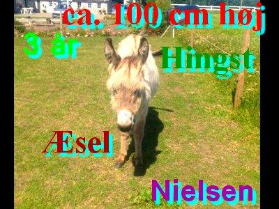 Navne skildte billede 5