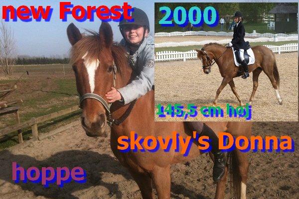 Navne skildte billede 4