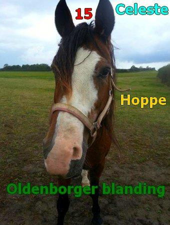 Navne skildte billede 2