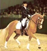 h-connections far der harlekin B billede 1