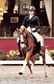 h-connections far der harlekin B billede 8