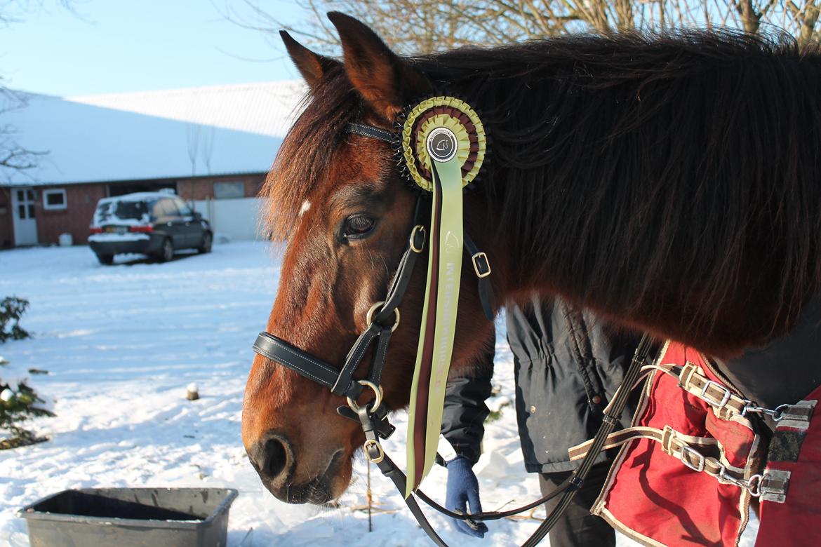 Vores billedebog. - Den første ISH roset (-: billede 72