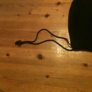 Mit udstyr jeg sælger/bytter.