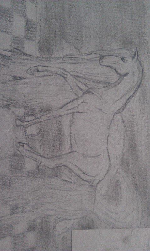 Mine tegninger:) billede 21