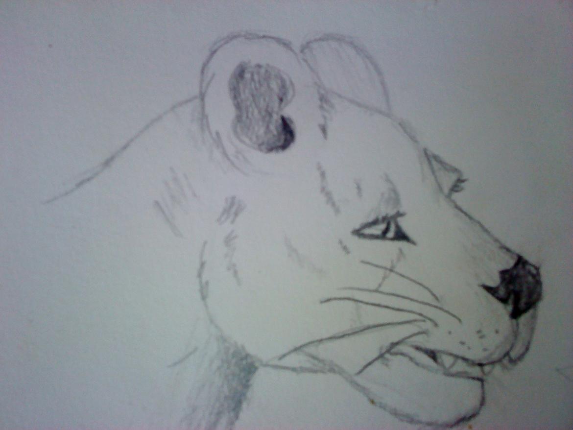 Mine tegninger:) billede 24