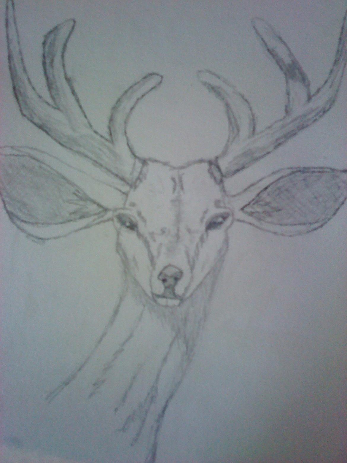 Mine tegninger:) billede 25