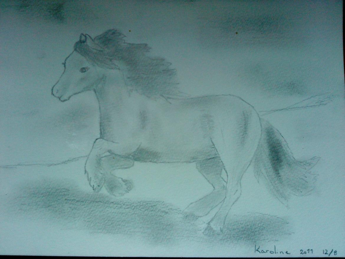 Mine tegninger:) billede 27