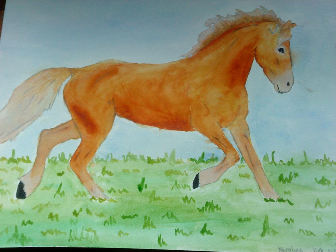 Mine tegninger:) billede 28