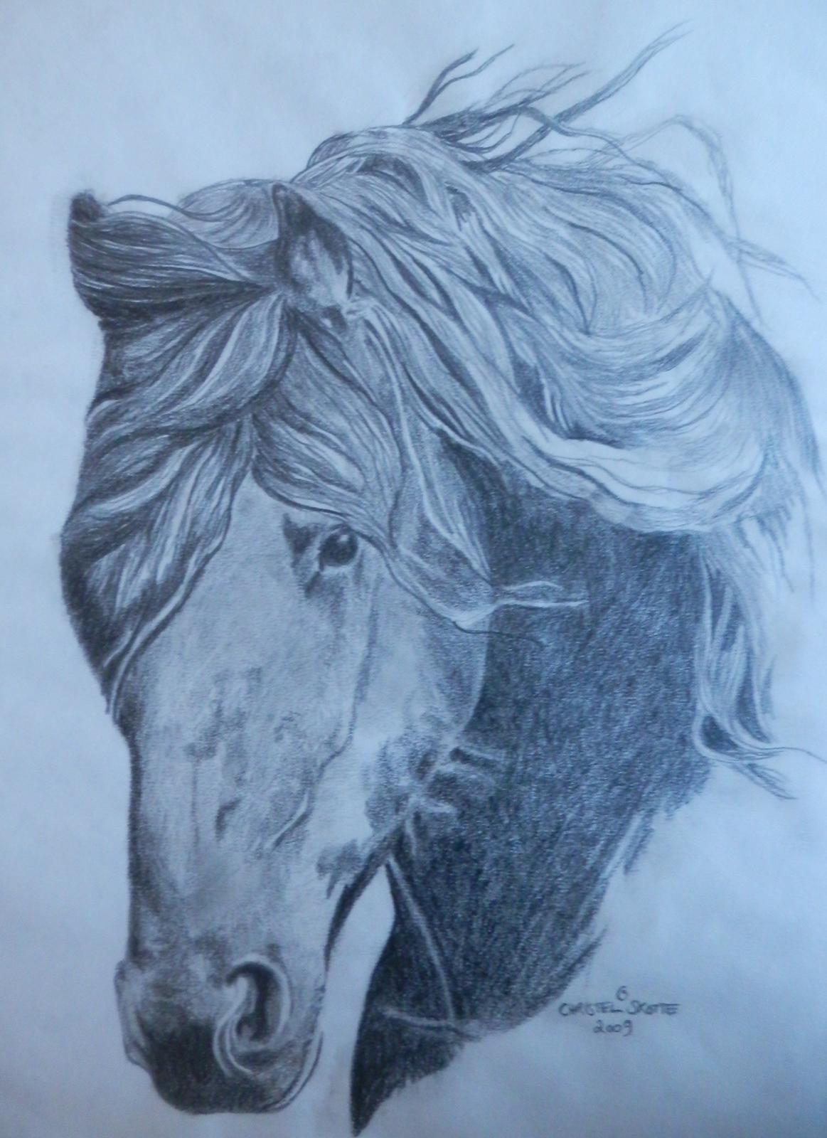 heste tegninger og malerier - friser som jeg også har malet  billede 17