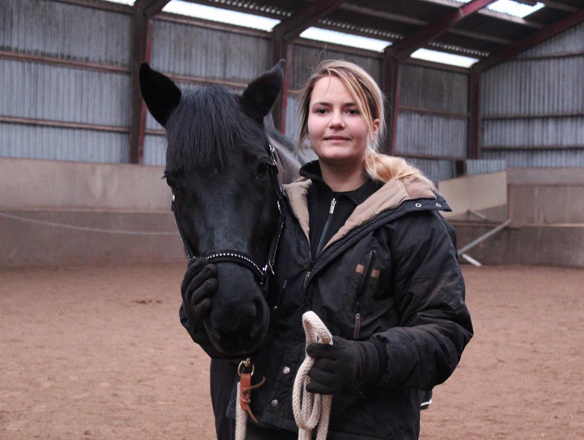 Løsspring på Stald Nordskov - STJ Photo © billede 2