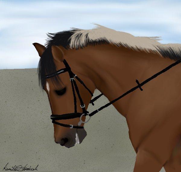 Mine hestetegninger på computeren :) billede 50