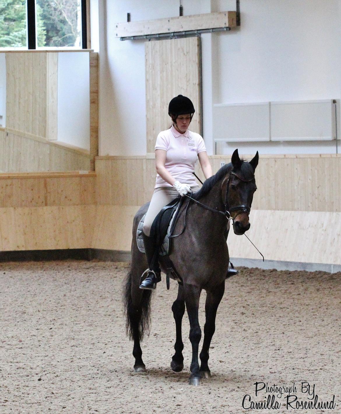 Undervisning på Bregnerødgård billede 2