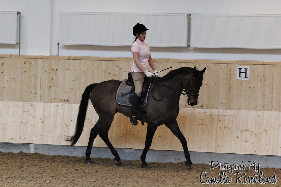 Undervisning på Bregnerødgård billede 3