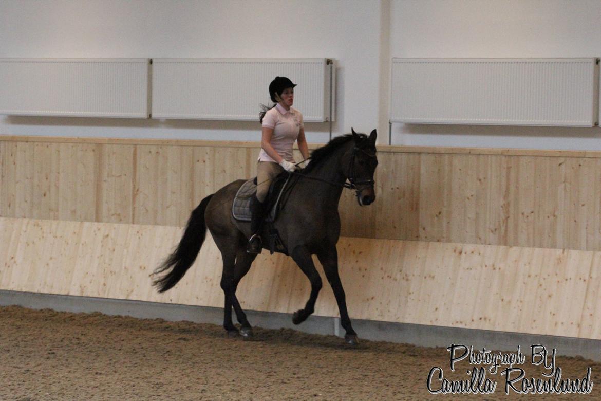 Undervisning på Bregnerødgård billede 4