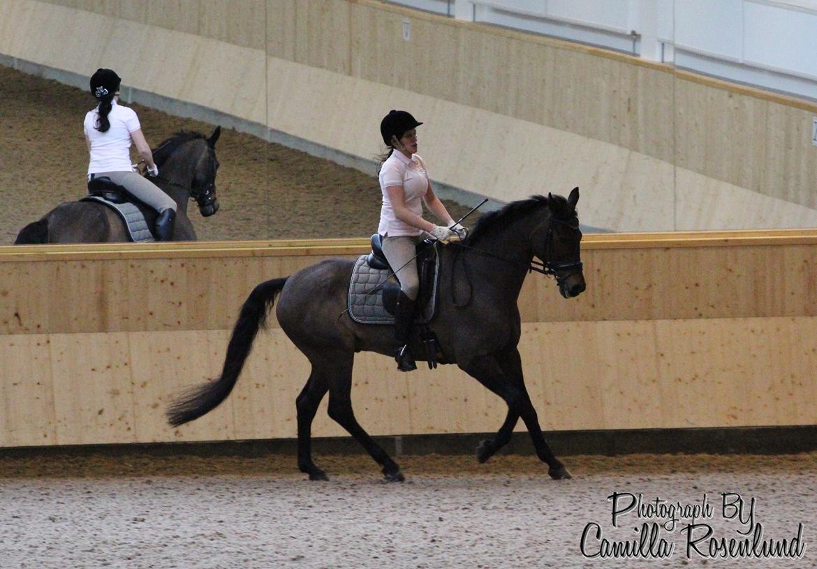 Undervisning på Bregnerødgård billede 5
