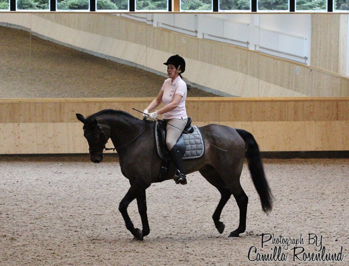 Undervisning på Bregnerødgård billede 6