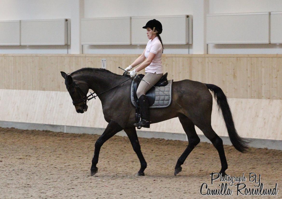 Undervisning på Bregnerødgård billede 7