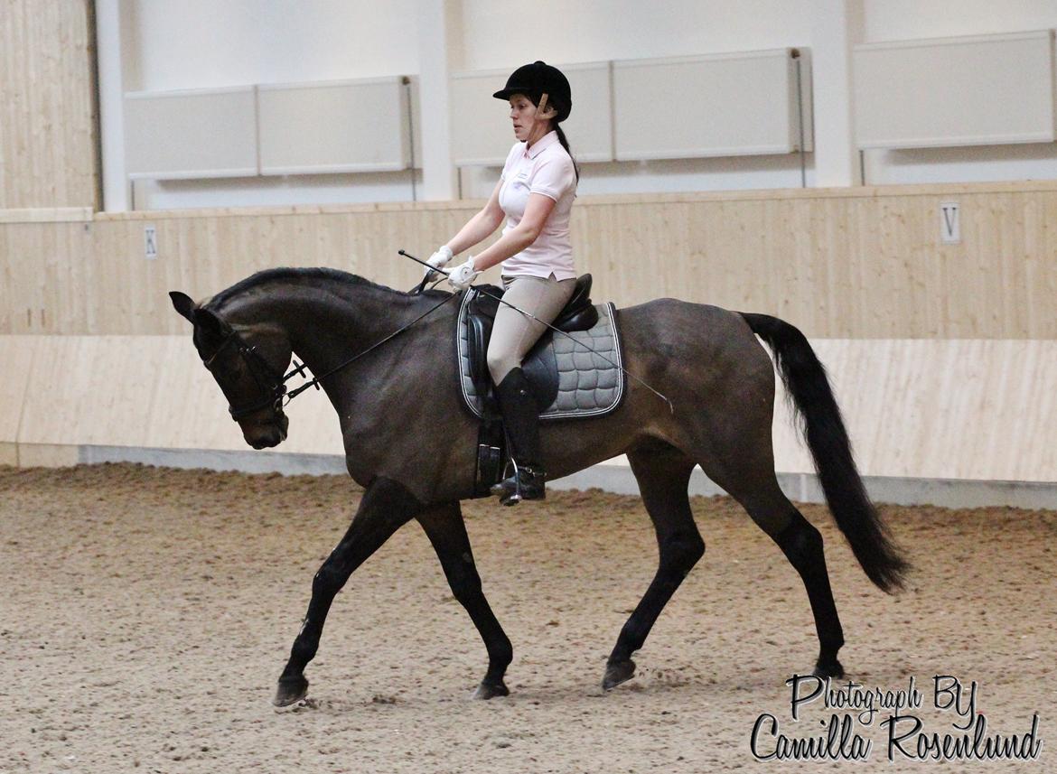 Undervisning på Bregnerødgård billede 8