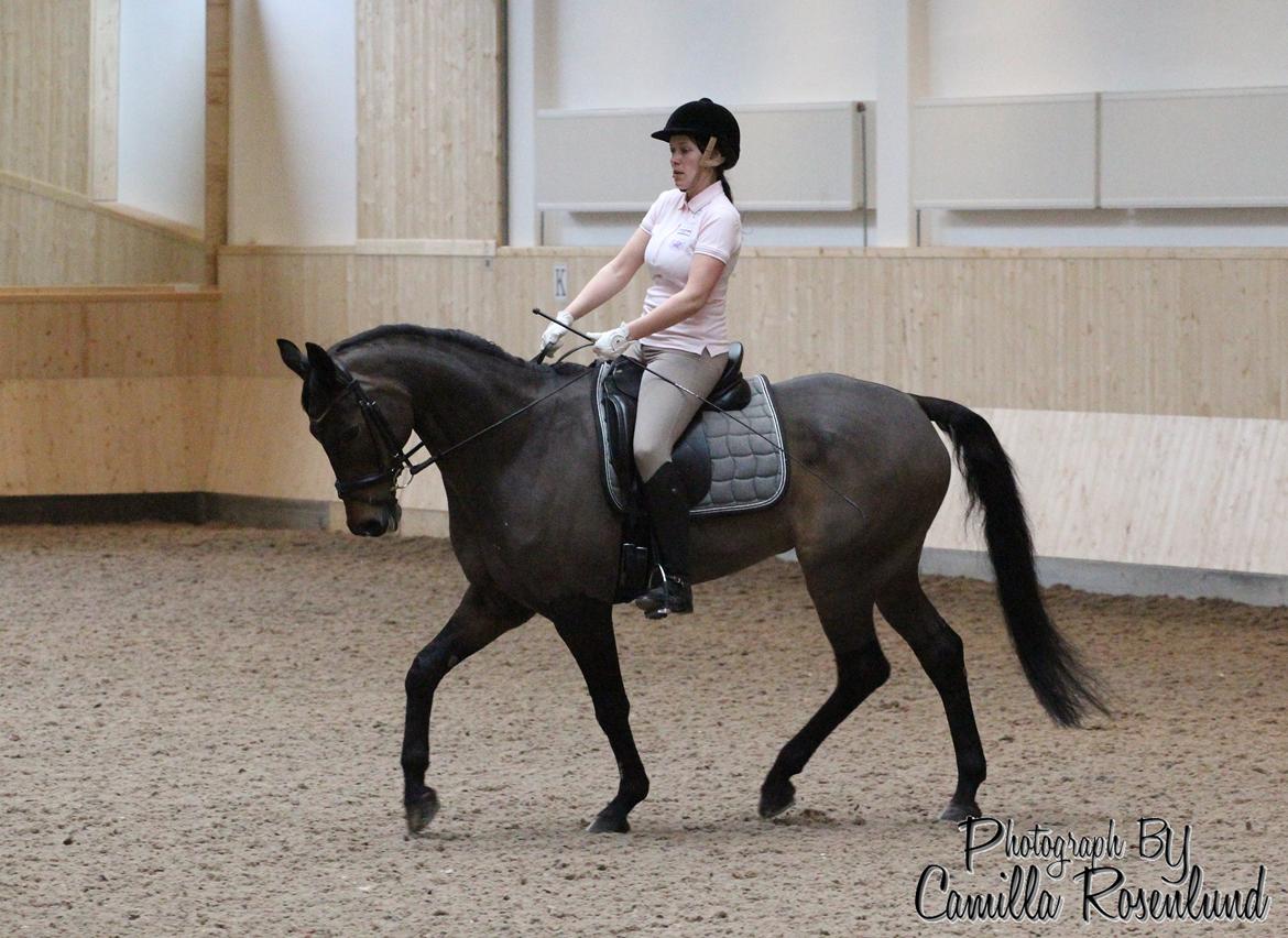 Undervisning på Bregnerødgård billede 9