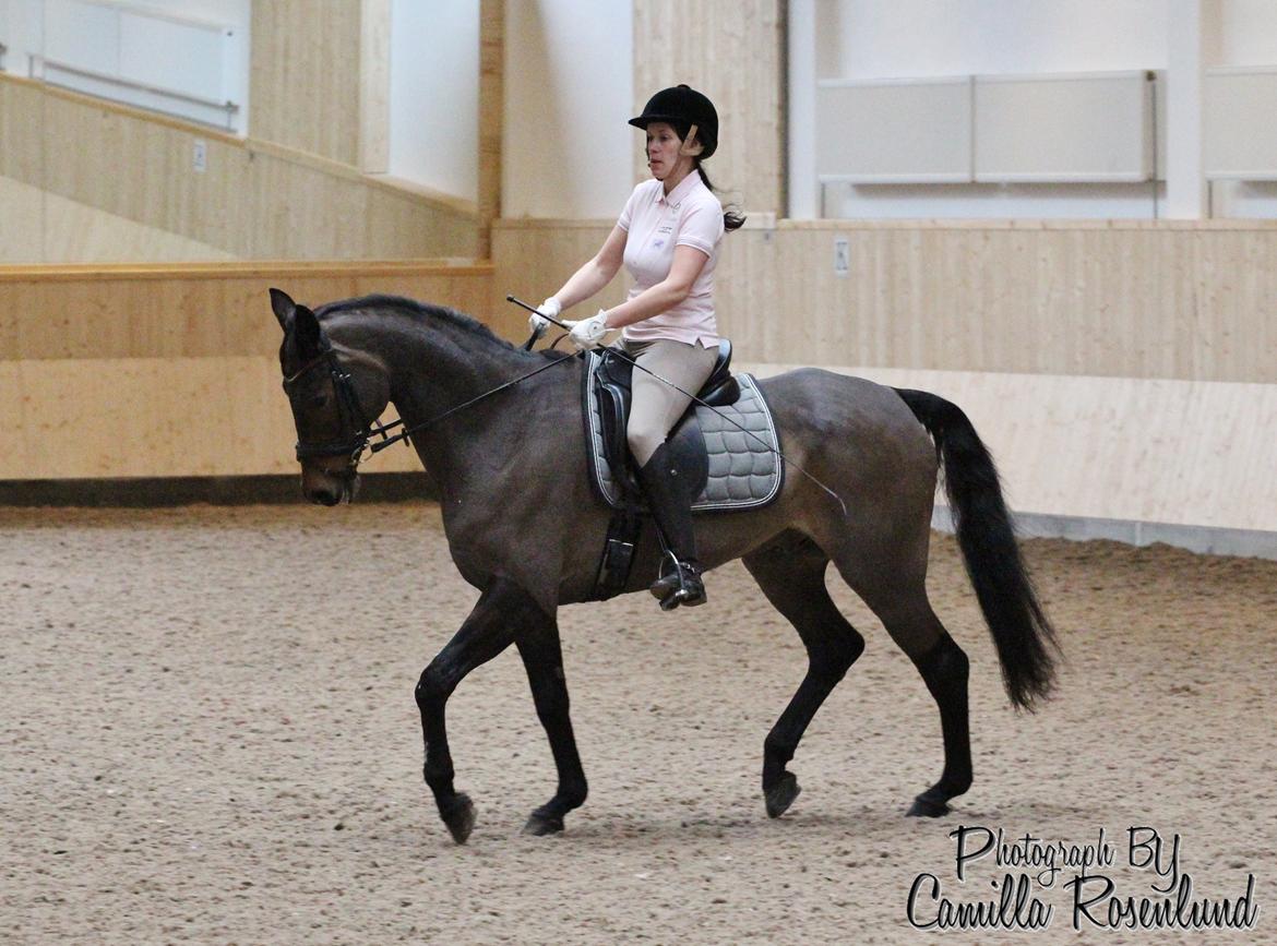 Undervisning på Bregnerødgård billede 10