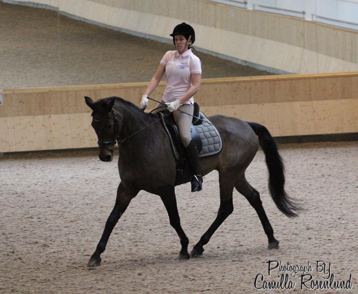 Undervisning på Bregnerødgård billede 11