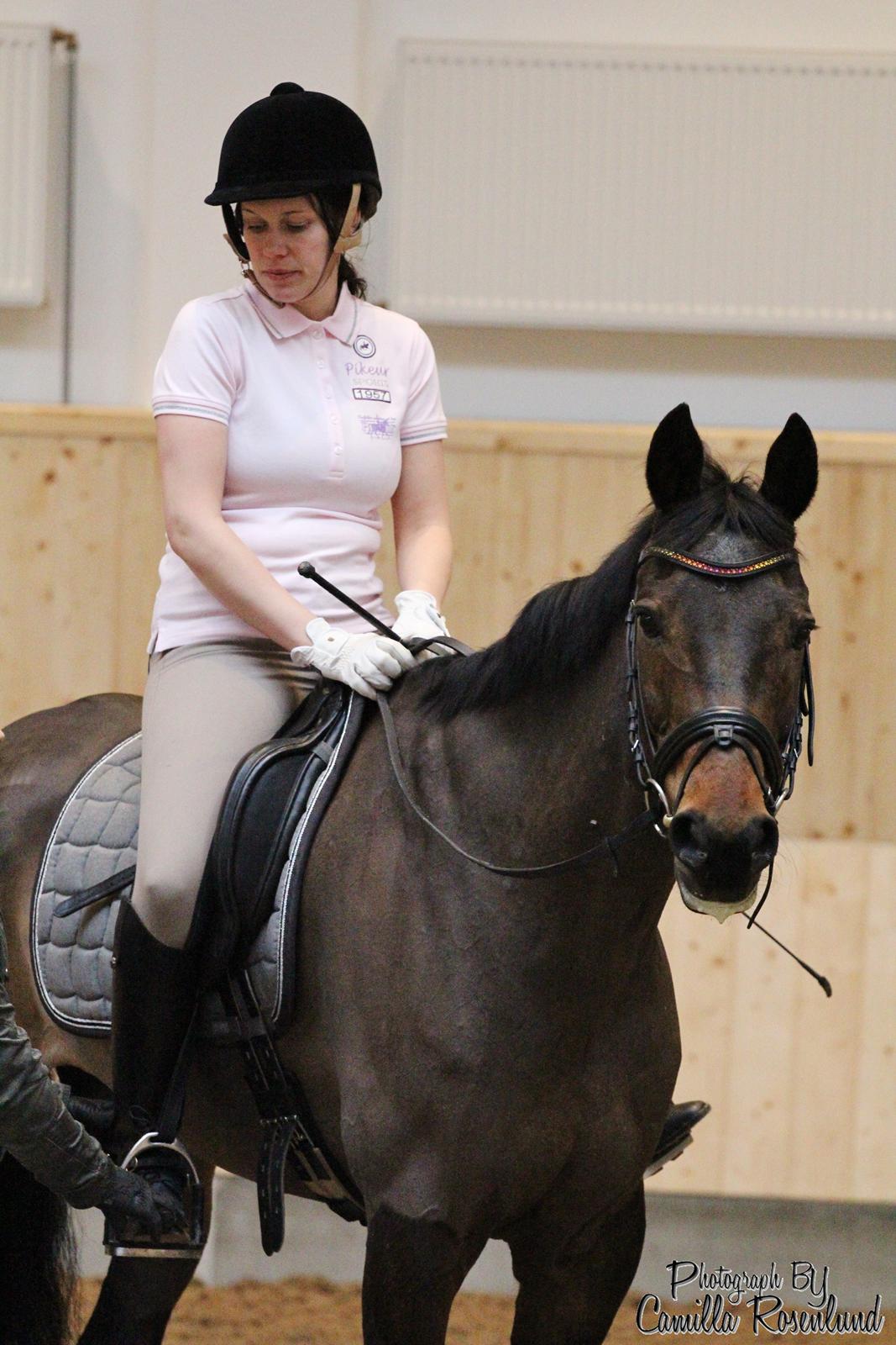 Undervisning på Bregnerødgård billede 13