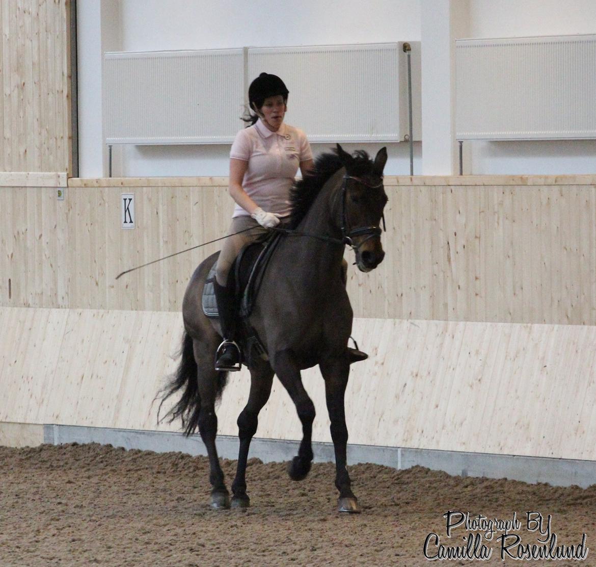 Undervisning på Bregnerødgård billede 14