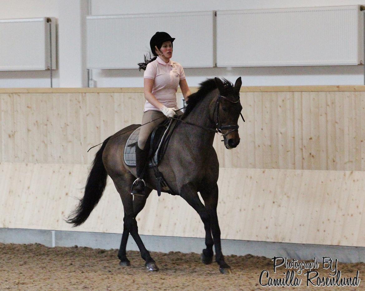 Undervisning på Bregnerødgård billede 15