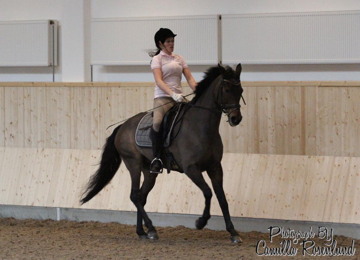 Undervisning på Bregnerødgård billede 16