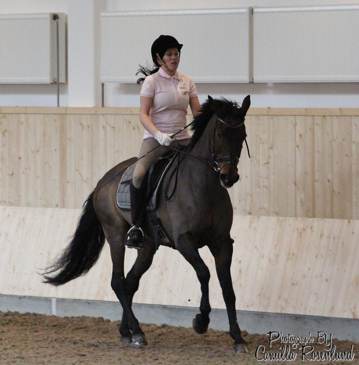 Undervisning på Bregnerødgård billede 17