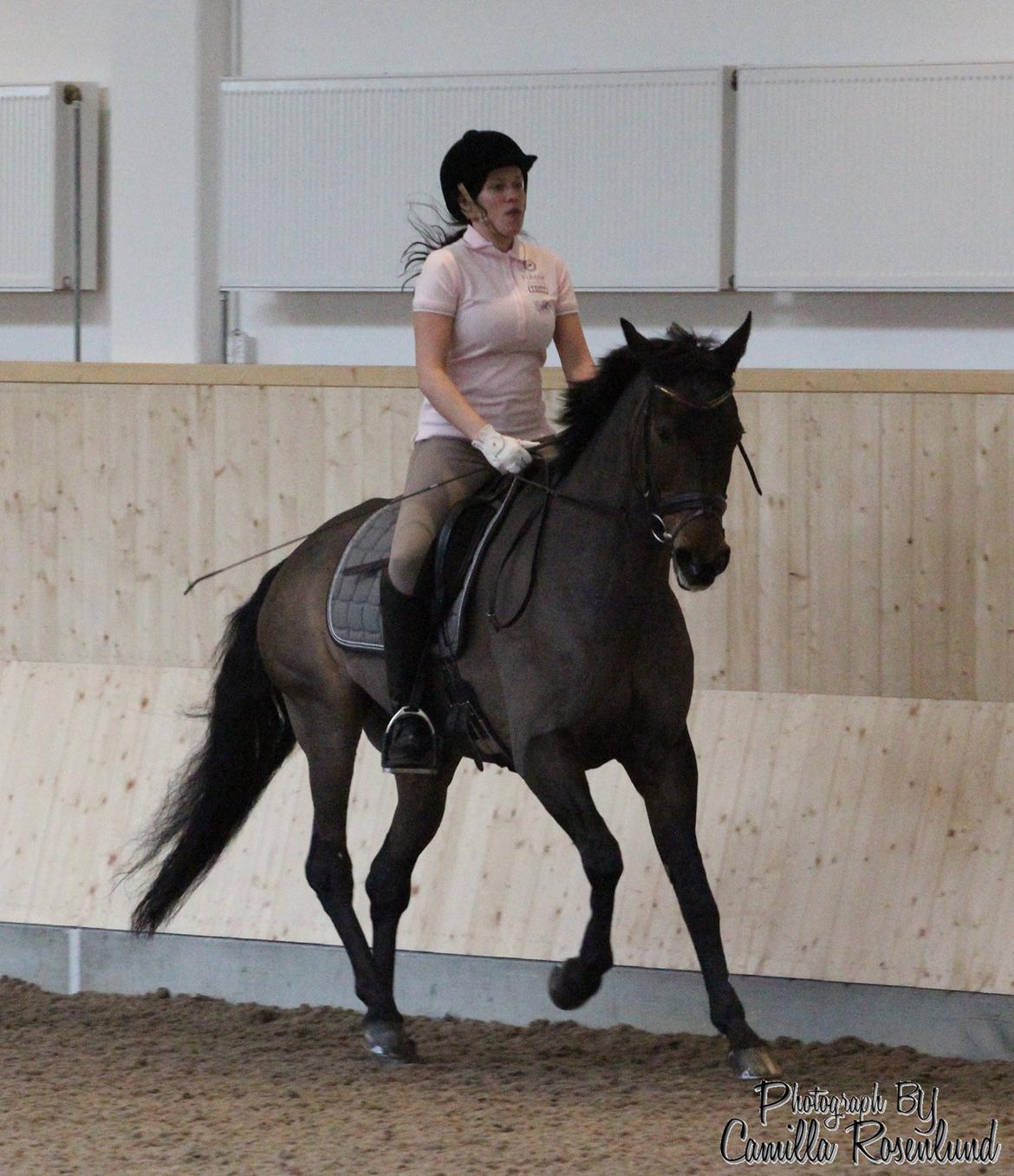 Undervisning på Bregnerødgård billede 18