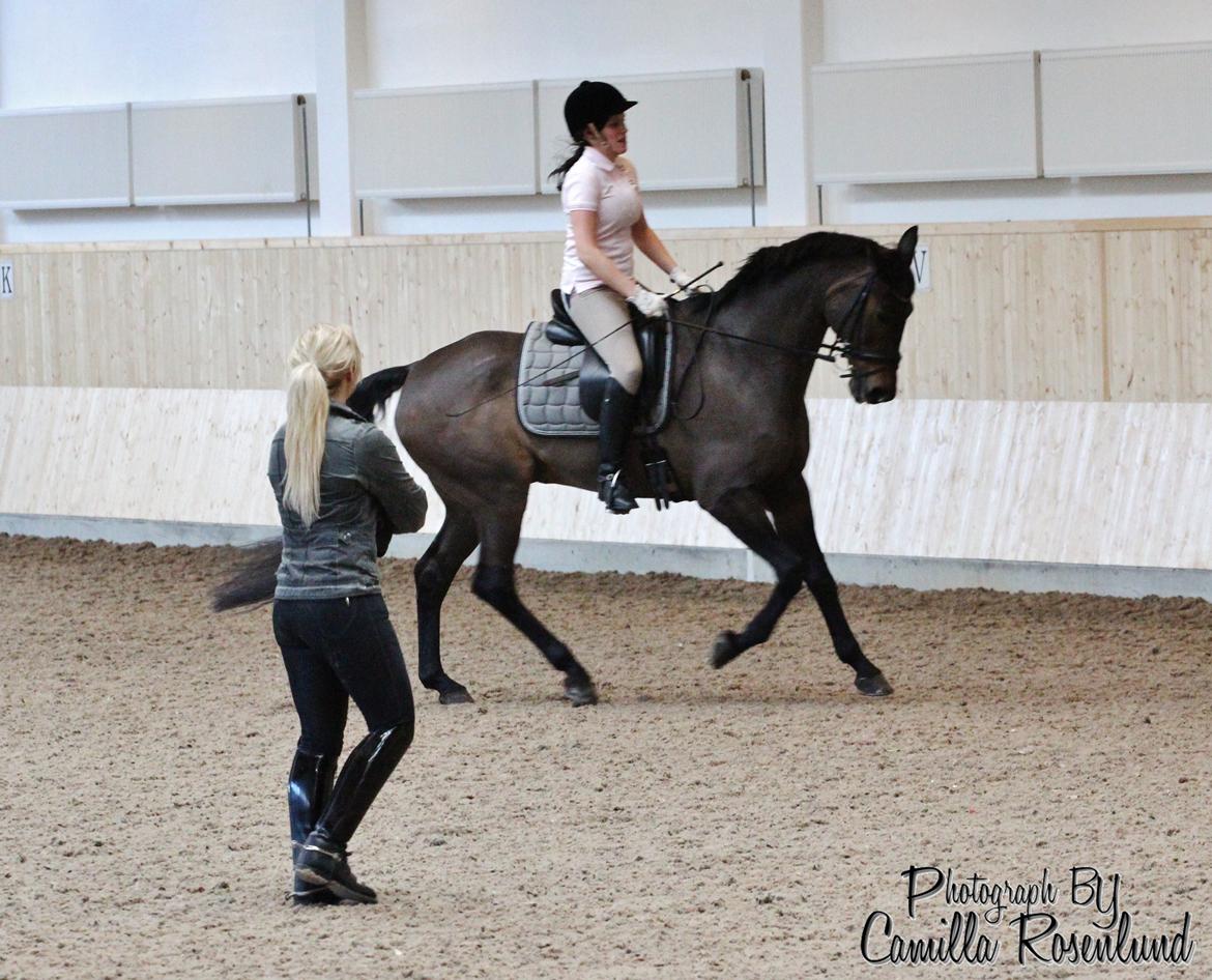 Undervisning på Bregnerødgård billede 19