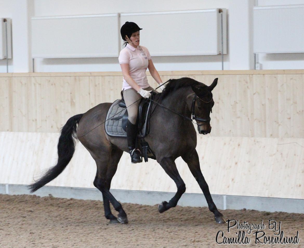 Undervisning på Bregnerødgård billede 20