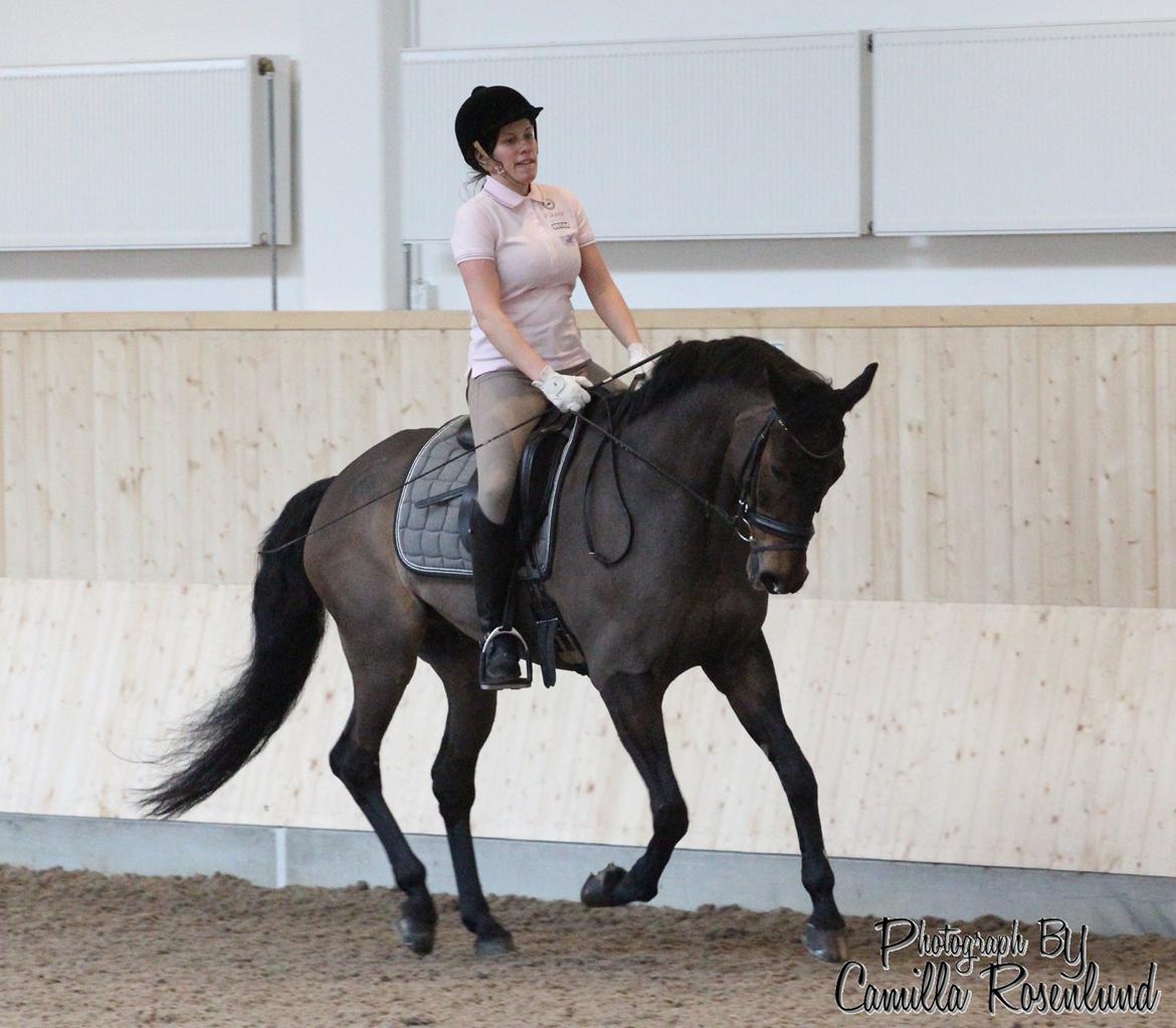 Undervisning på Bregnerødgård billede 21