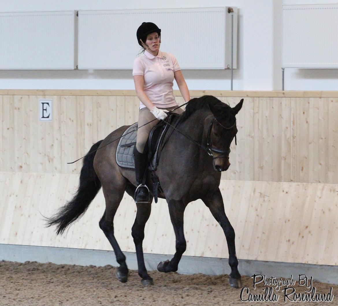 Undervisning på Bregnerødgård billede 22