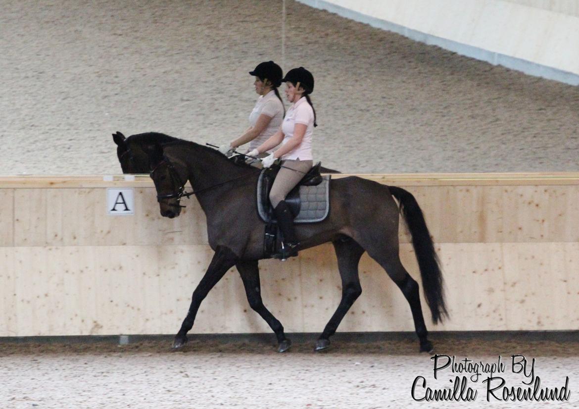 Undervisning på Bregnerødgård billede 23