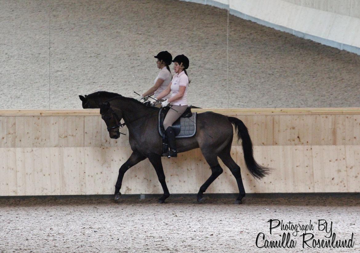 Undervisning på Bregnerødgård billede 24