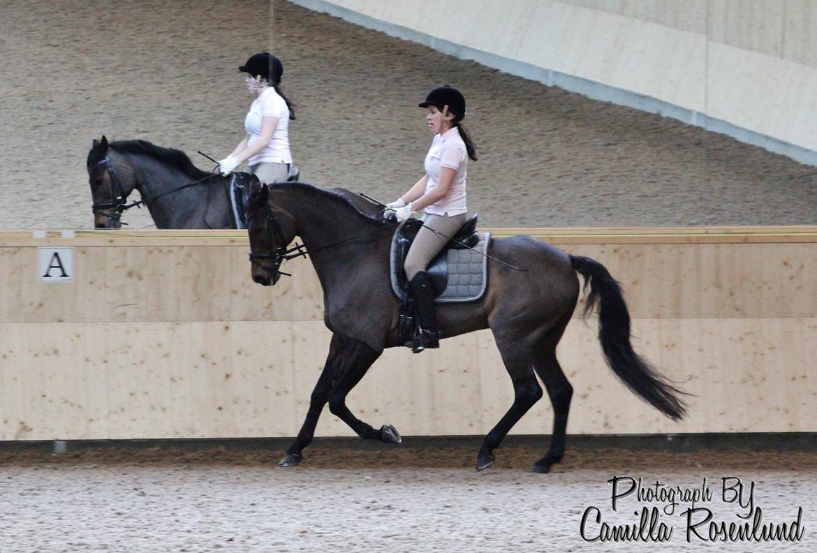 Undervisning på Bregnerødgård billede 25