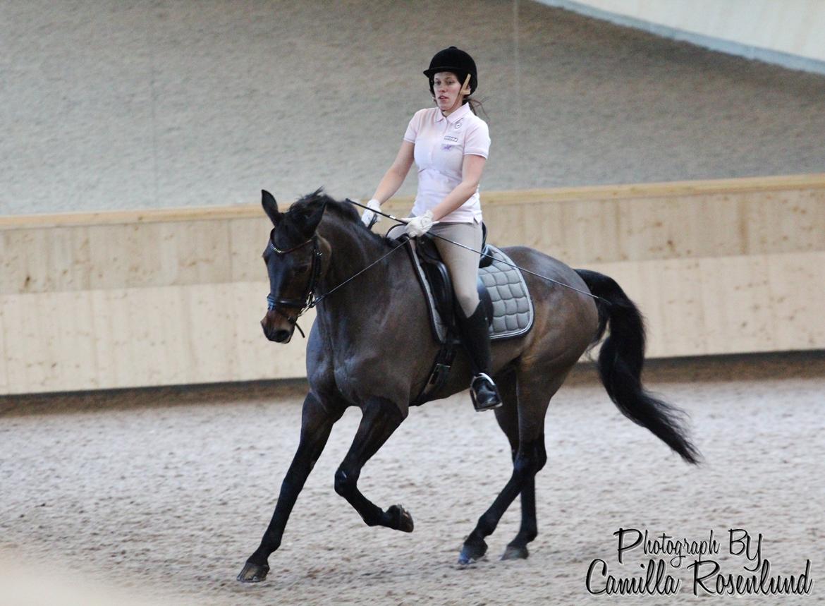 Undervisning på Bregnerødgård billede 26