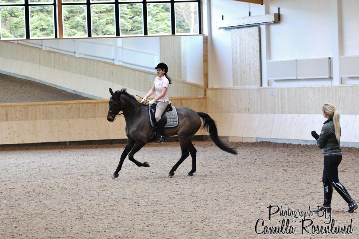 Undervisning på Bregnerødgård billede 27