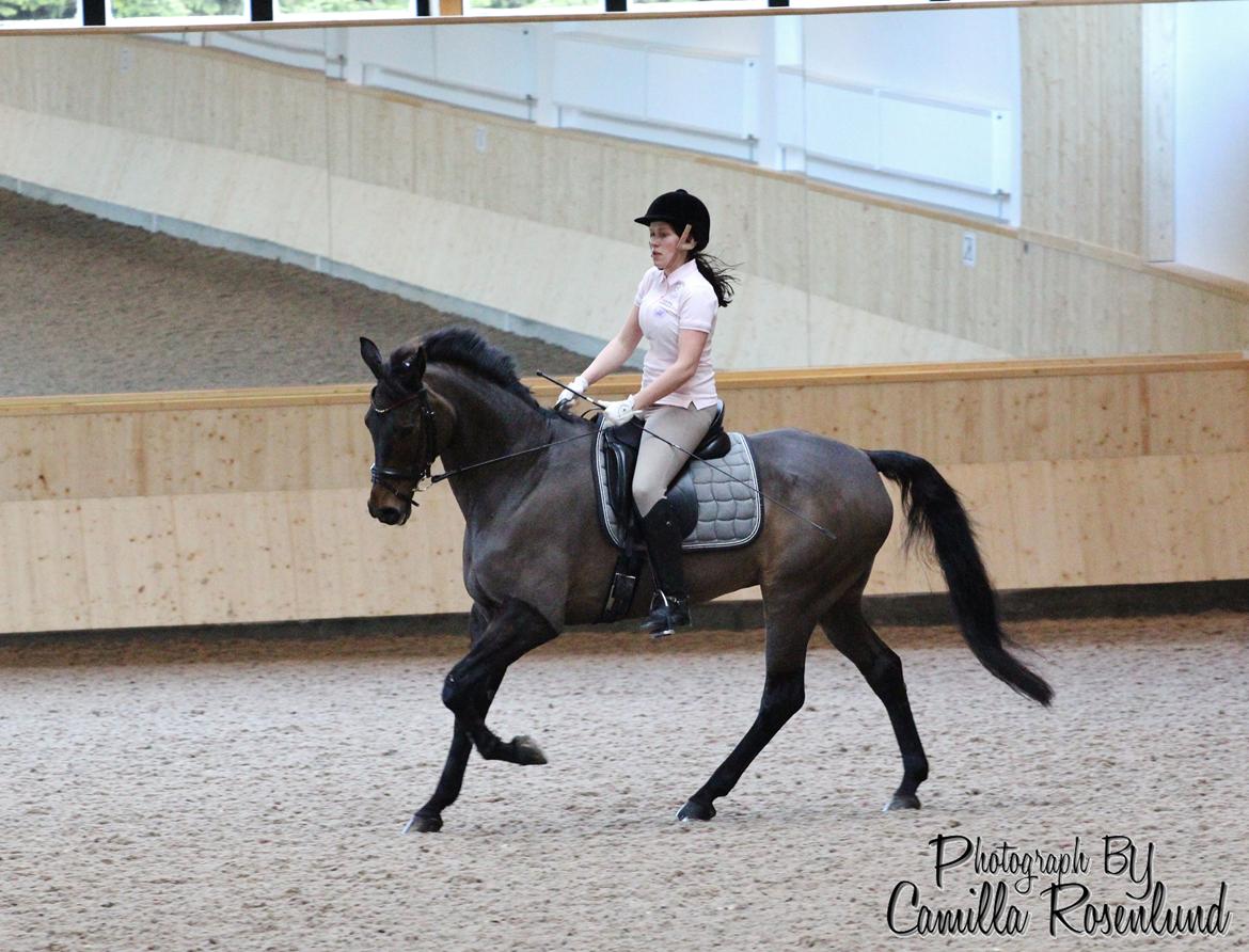 Undervisning på Bregnerødgård billede 28