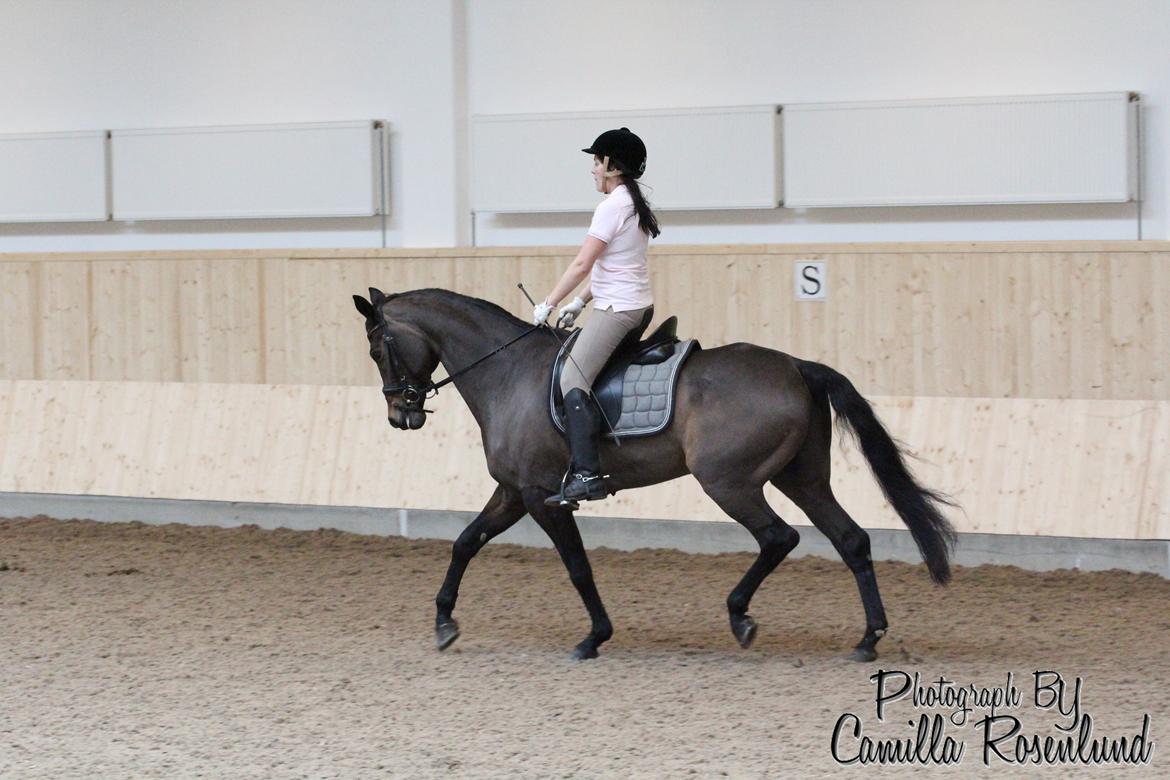 Undervisning på Bregnerødgård billede 29