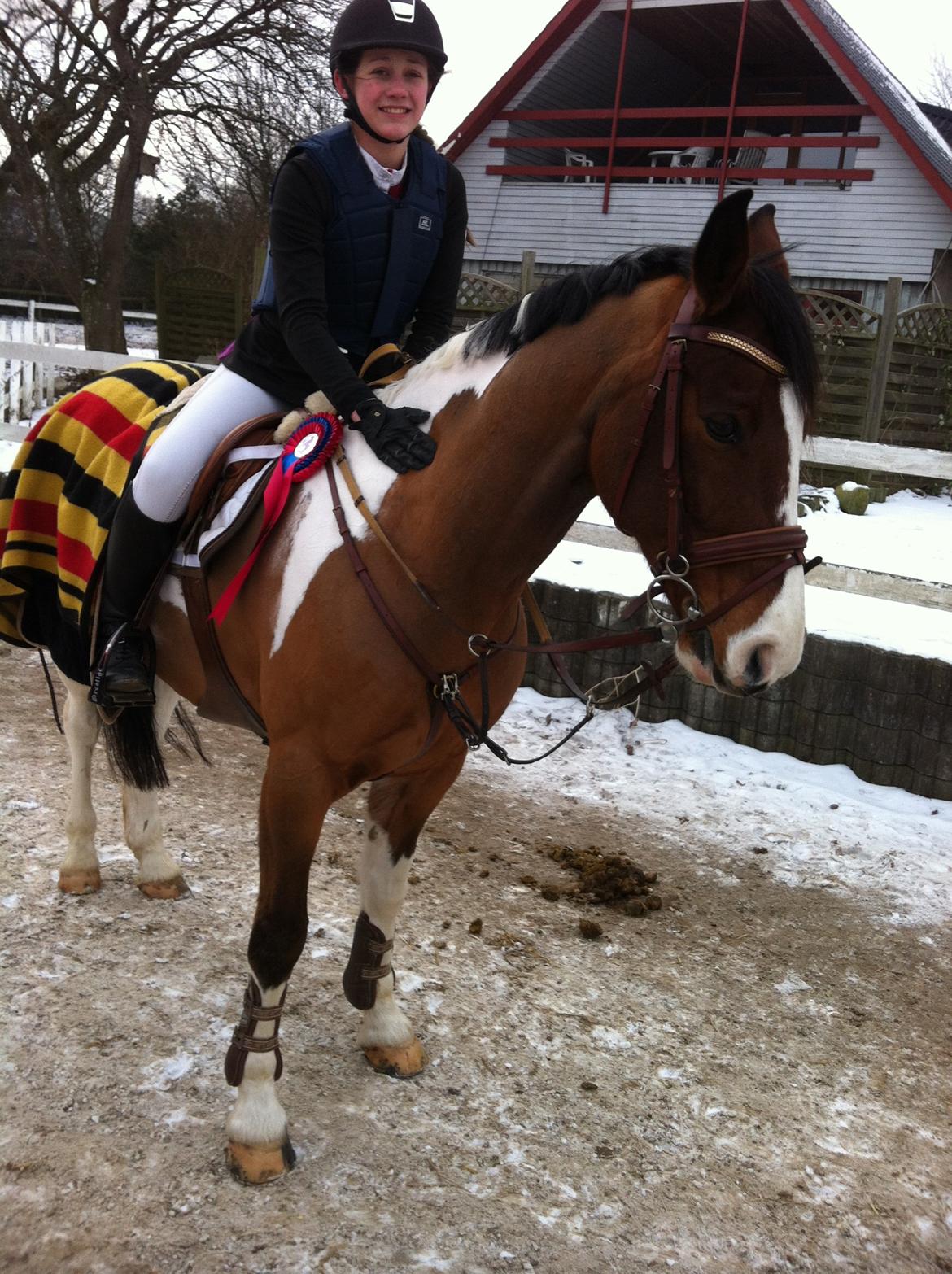 Robin - Stjerne. billede 1