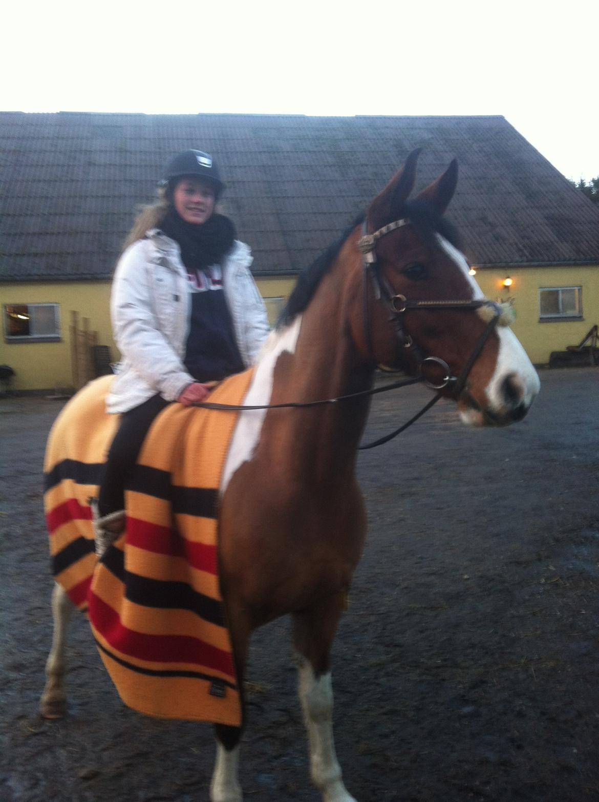 Robin - På tur ved sit nye hjem billede 2